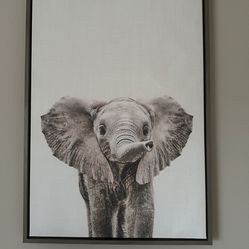 Simon Te Tai Elephant Picture