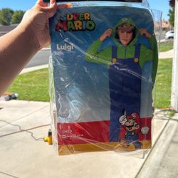 Luigi Hat And Gloves