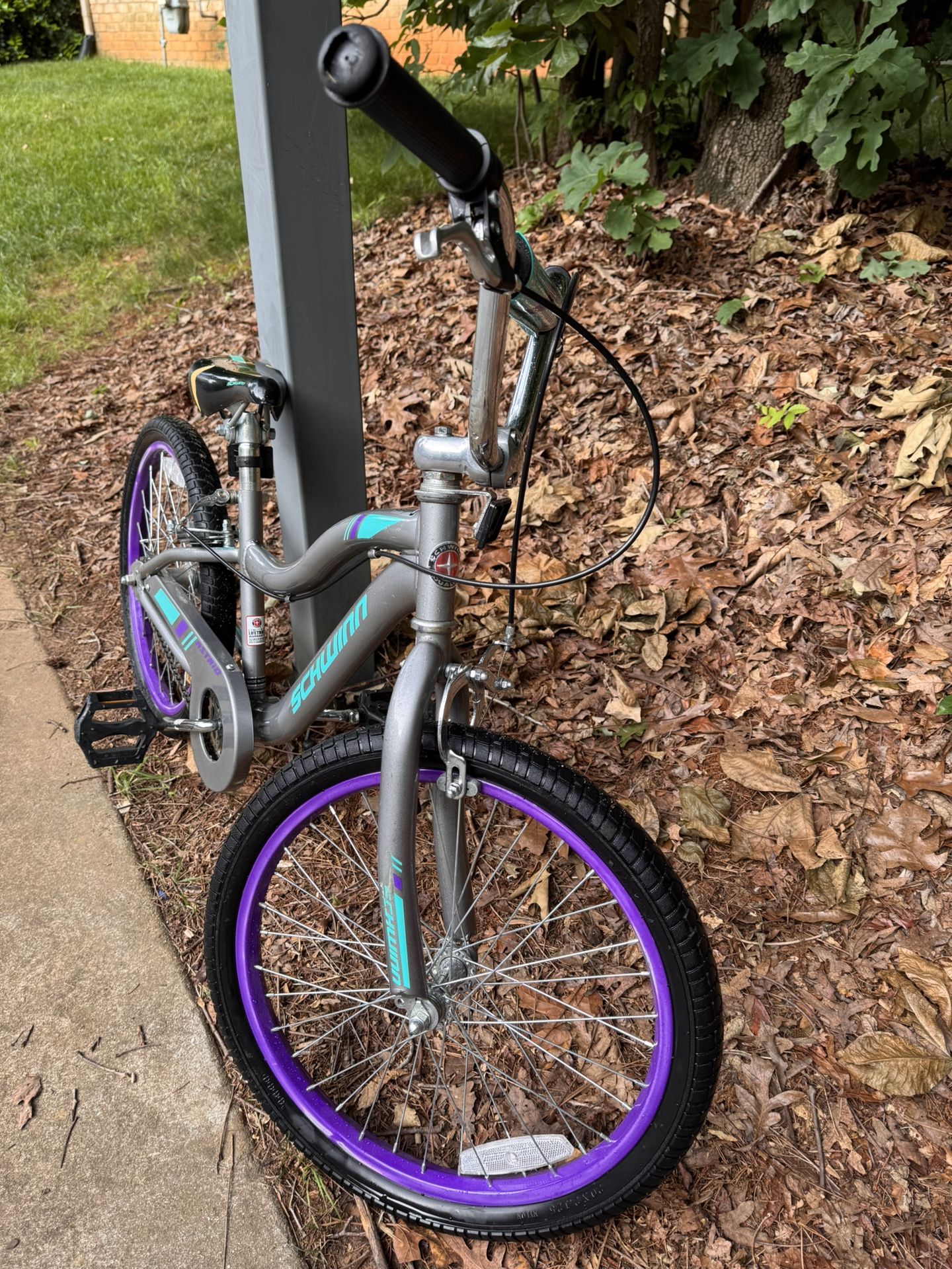 Girls 20-inch Schwinn Bicycle