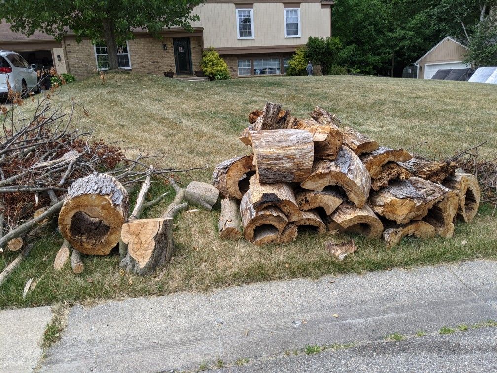 FREE Dry Firewood