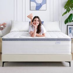 Brand New Mattresses And Box Springs