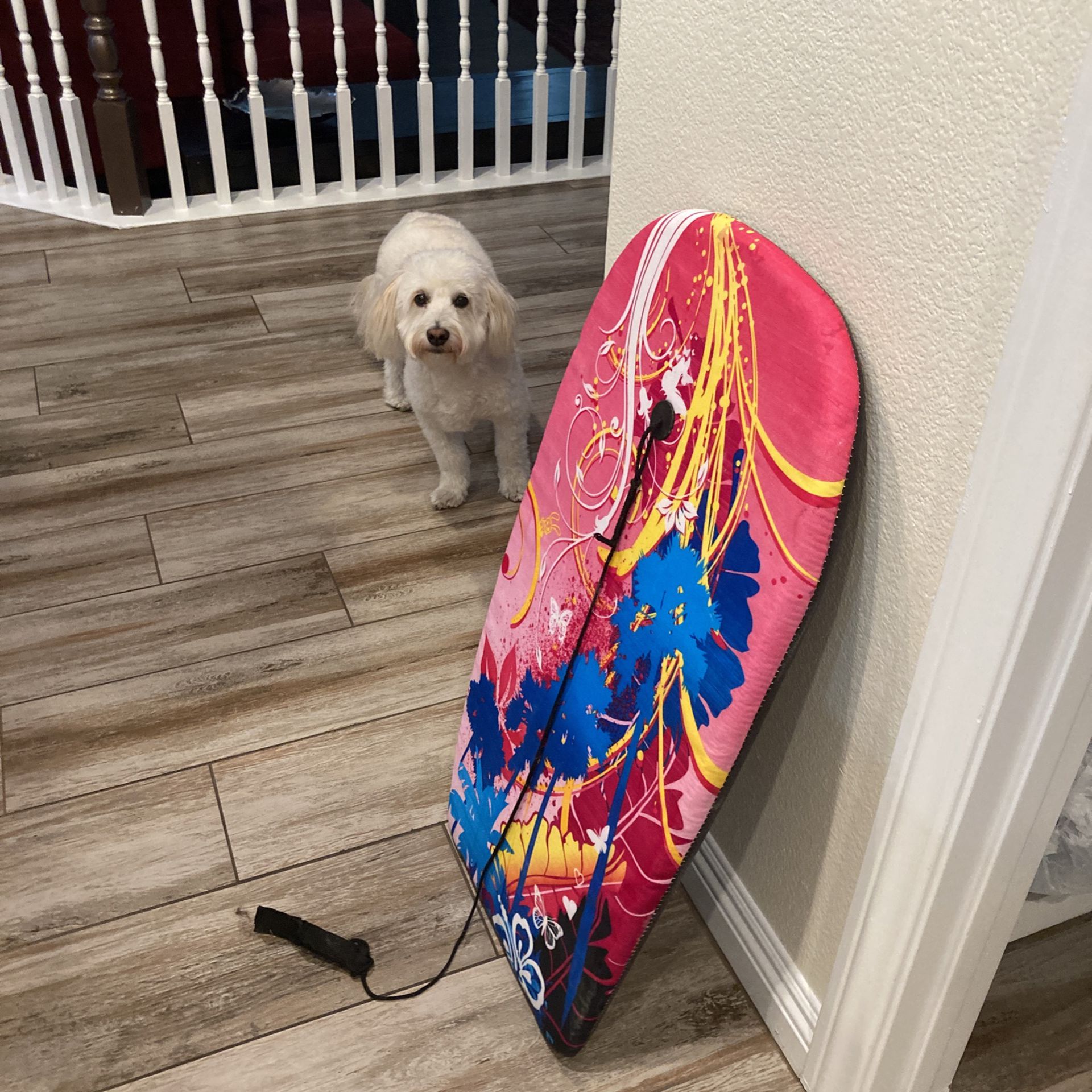 VERY CHEAP Basically New Boogie Board 