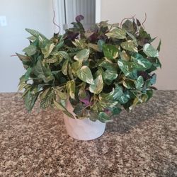 Decorative Artificial Plant