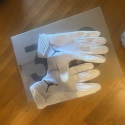 Jordan Gloves Brand New Never Worn Size Large 