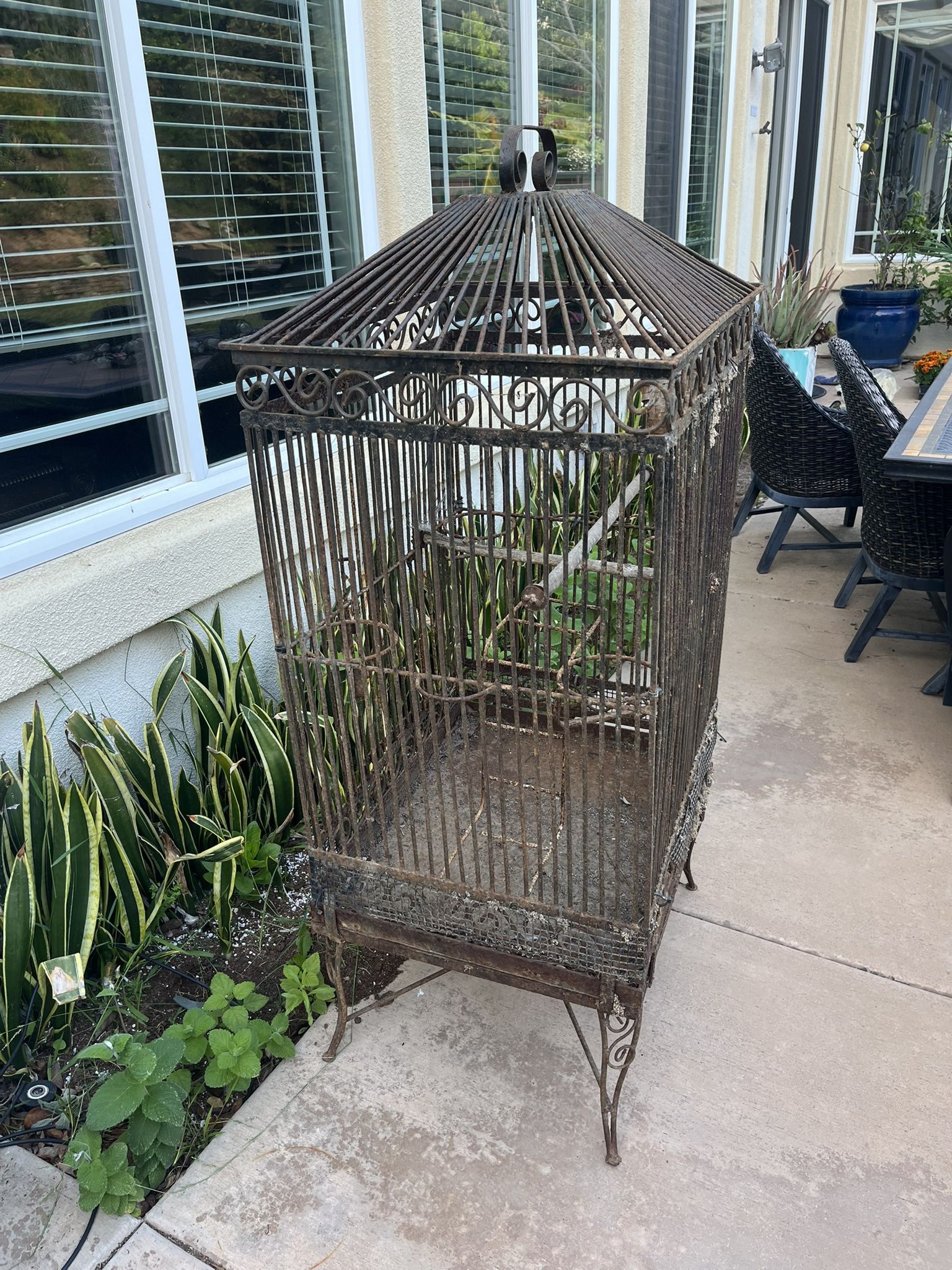 Bird Cage