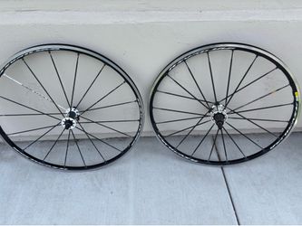 Mavic krysirium