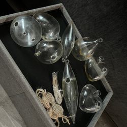 8 Glass Plant Terrarium/propagation 