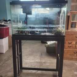 Fish Tank with Stand