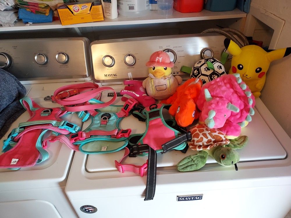 Dogs items