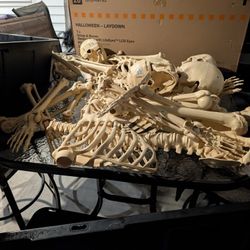 SKELTONS  5 FT , LITTLE ONES .. ALOT 