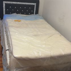 Bed