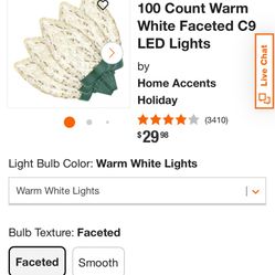 100 COUNT CHRISTMAS LIGHTS