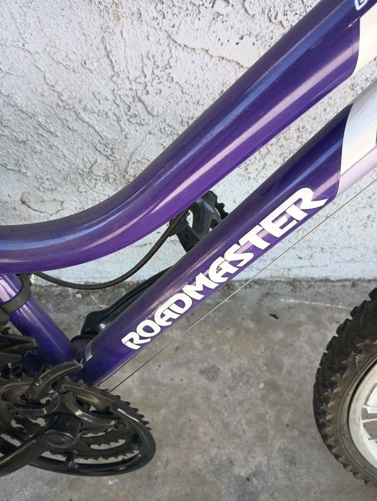 Road Master Girls Bike  $65 