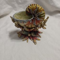 Jewelry box.    Shell