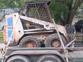 Bobcat