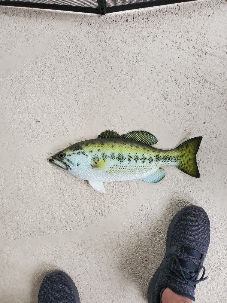 Bass Fish Decor