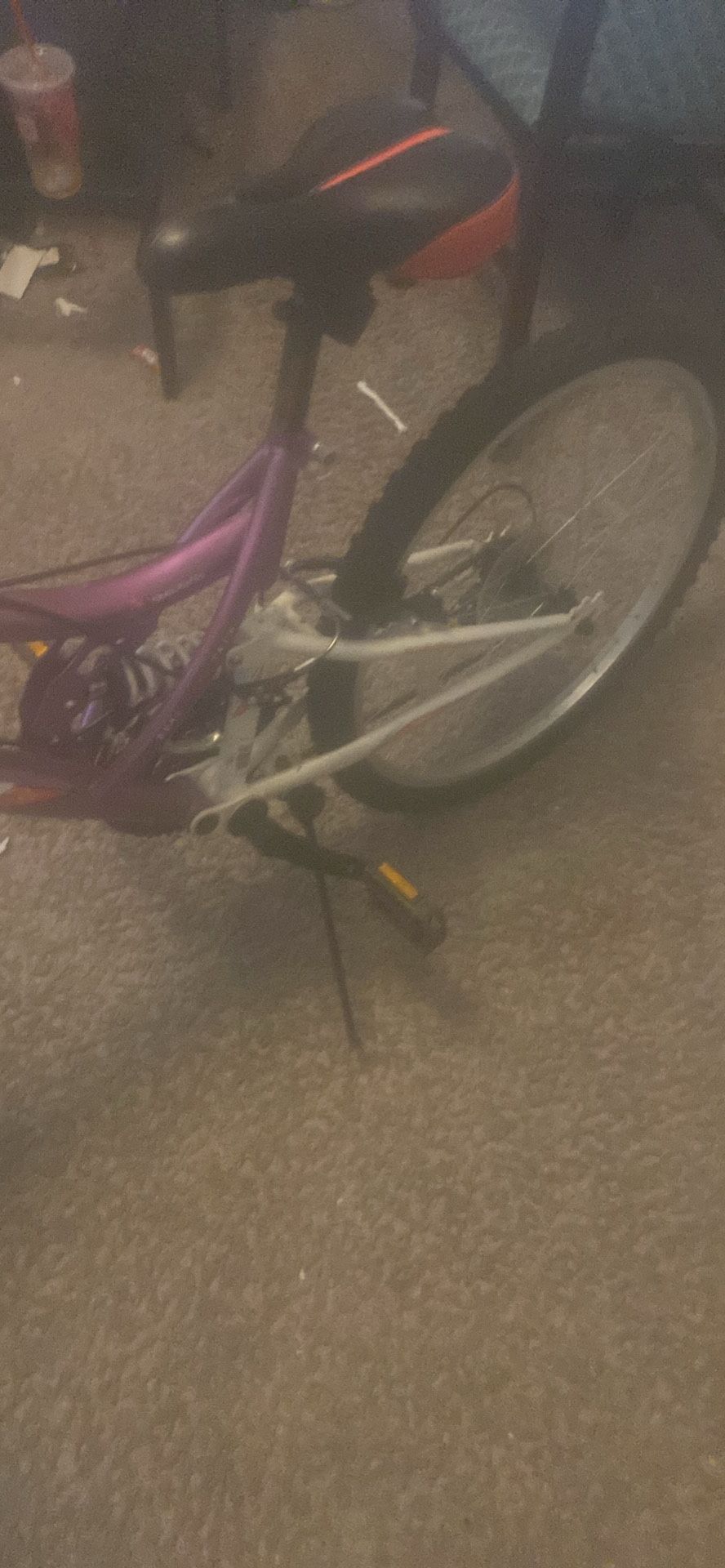 Purple Mountain Bike