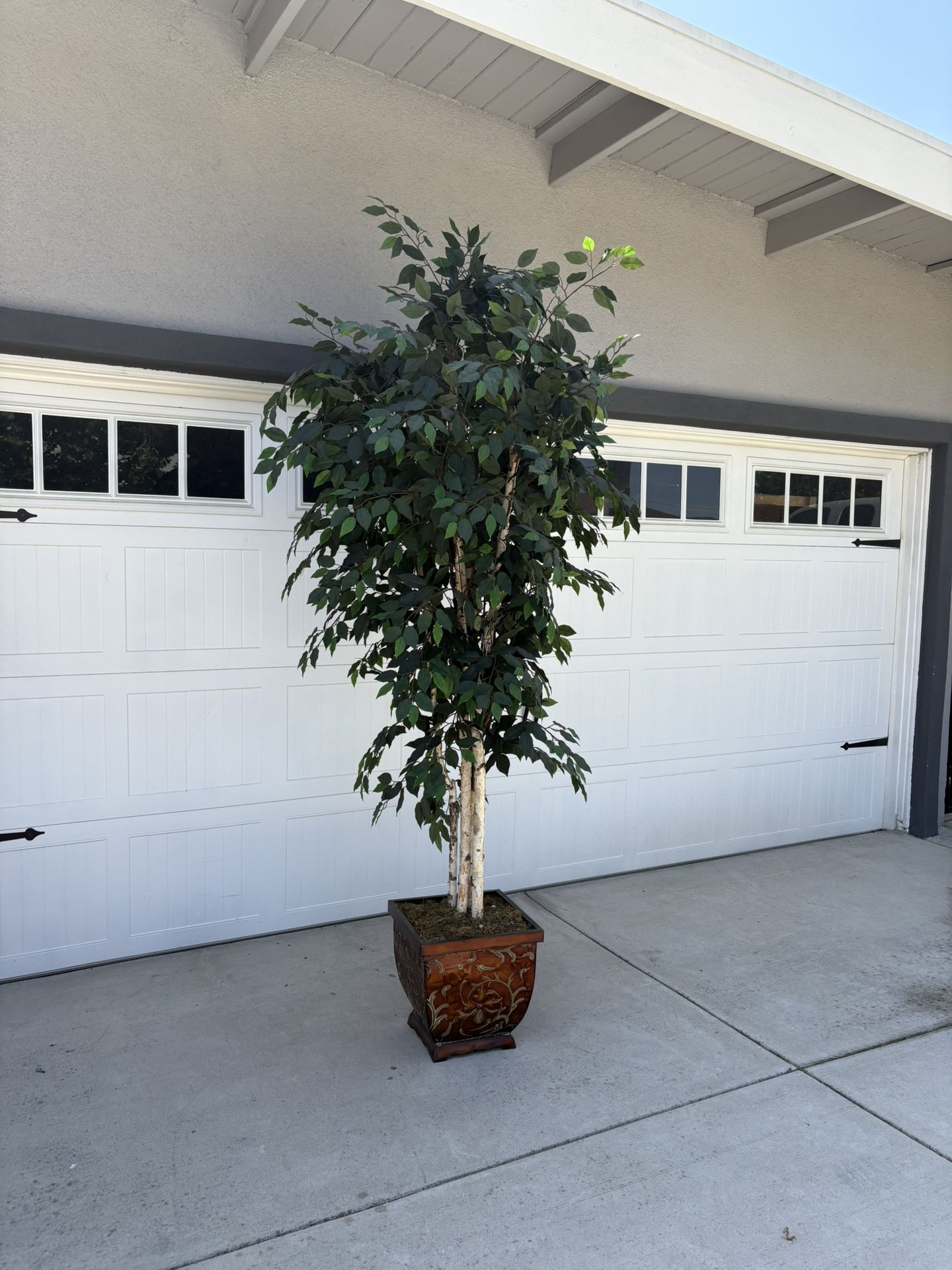 8 Foot Ficus Tree In Tuscan Garden Pot - New Condition- Artificial Tree