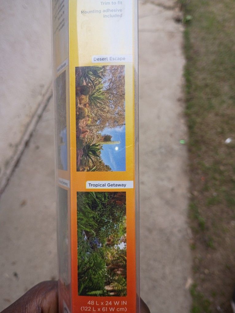 Back Ground For Reptiles 40 Gal Tank