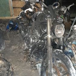 2005 Harley Vrod Vrscse 1250 Cvo Motor And Transmission