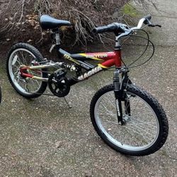 BMX bike  20”