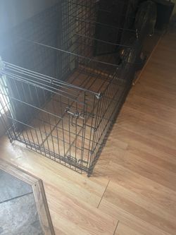 Extra large, Dan cage$60