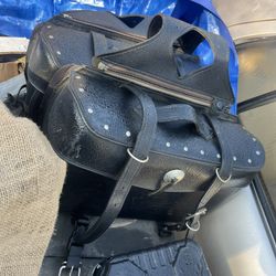 Motorcycle Storage Bags
