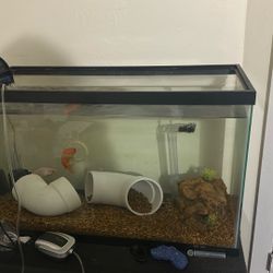 20 Gallon Fish Tank 