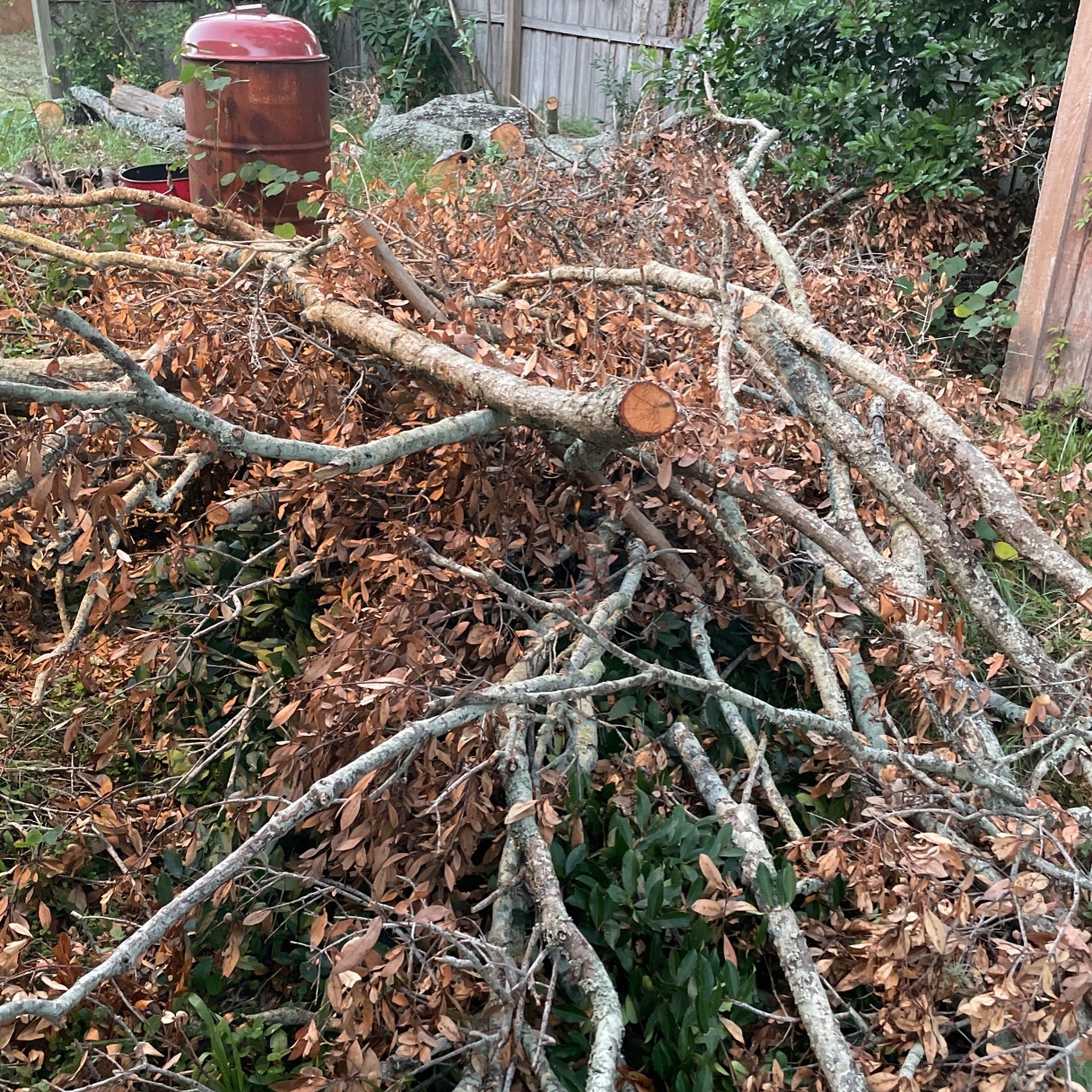 Firewood