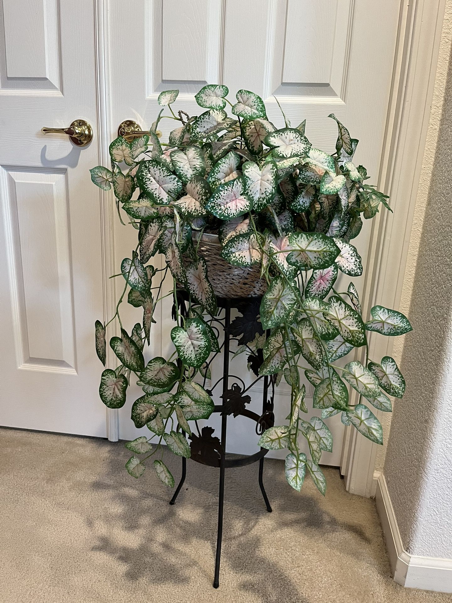 Hanging Decorations Plants