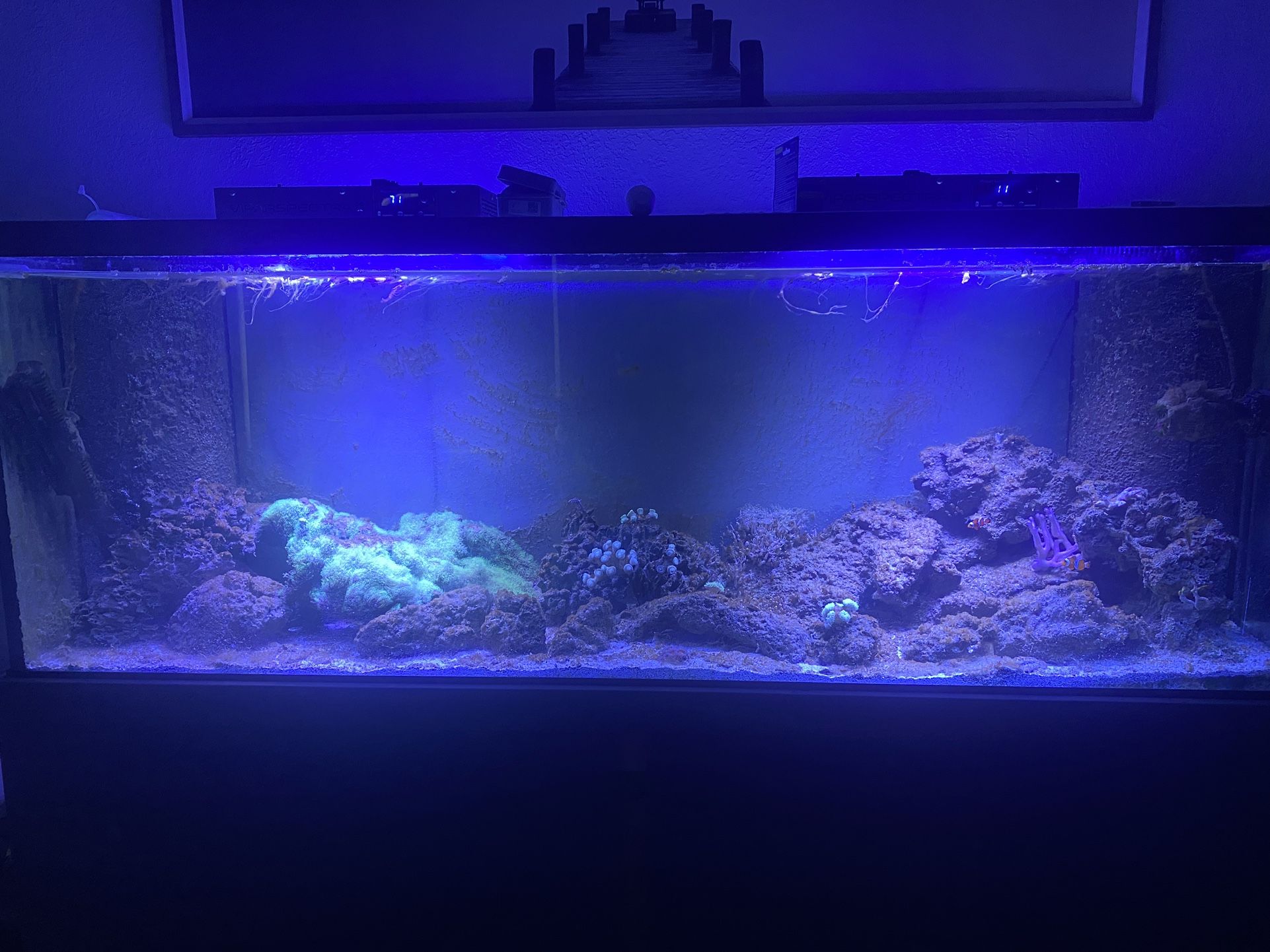 150 Gallon Tank