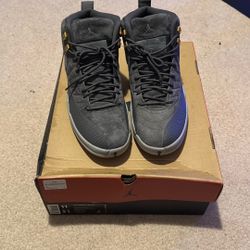 Air Jordan 12 Dark Grey Suede Size 11