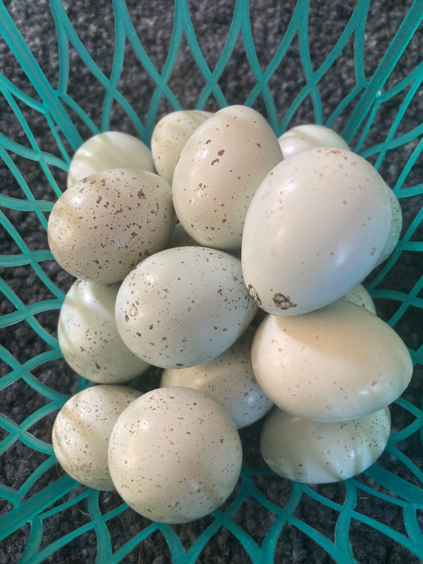 Blue Celadon Quail Eggs