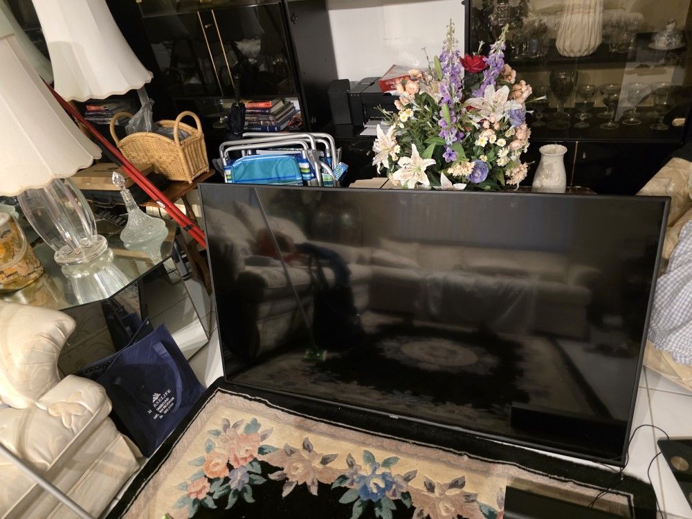 Vizio 65" Tv, V655-J09