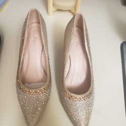 Beautiful Sparkling Shoes