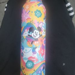 Disney Flask