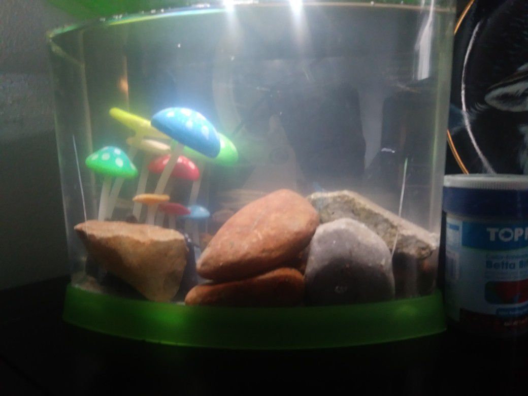 Mini fish tank