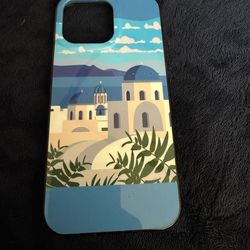 iPhone 16 pro max case