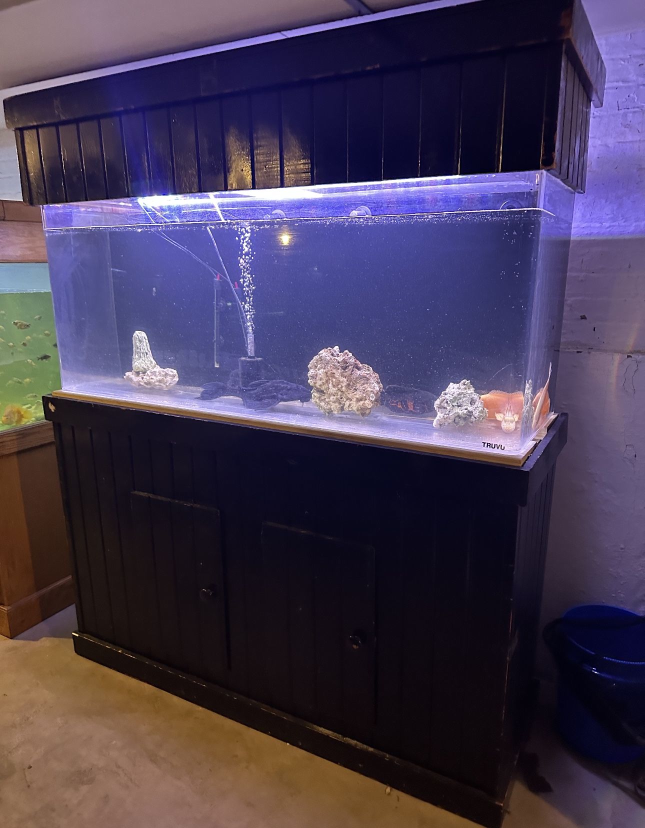 125 Gallon Fish Tank Acrylic