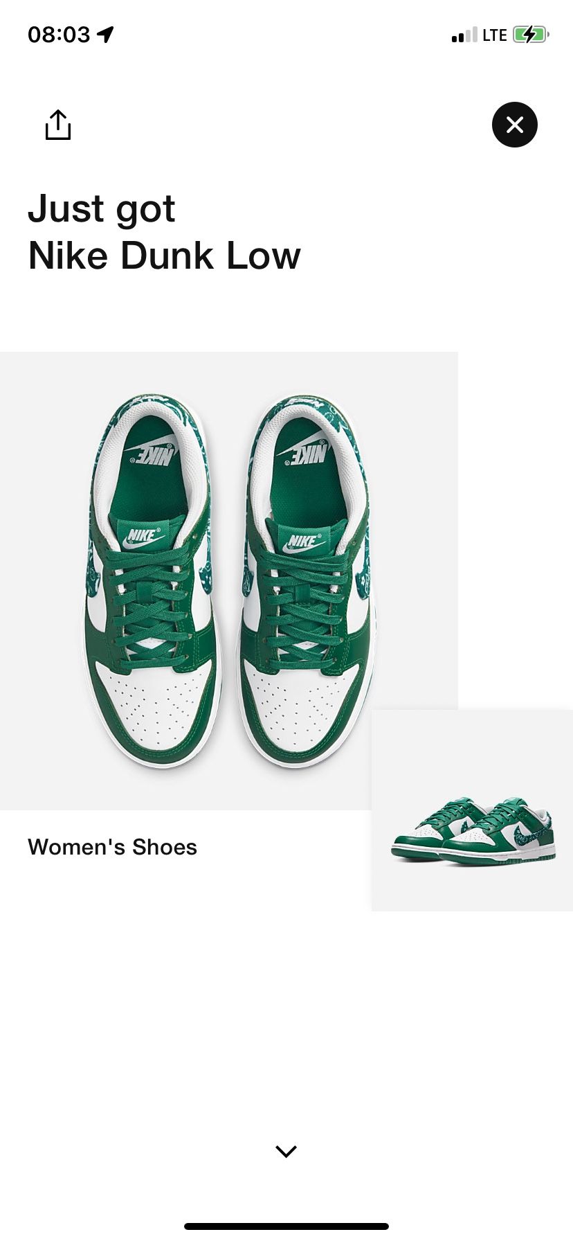 Green Paisley Dunk Sz 8 Womens 6.5 Mens 