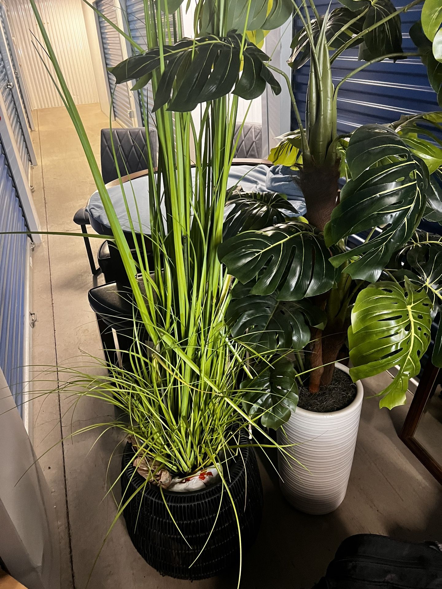 Fake Plants 