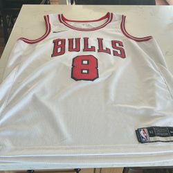 Chicago Bulls Zach Lavine Jersey