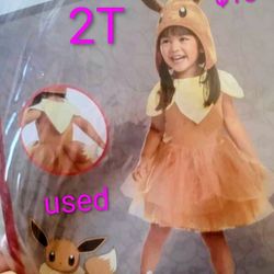 Used Toddler Halloween Costume 2T