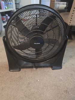 Fan
