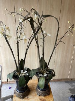 Decoration