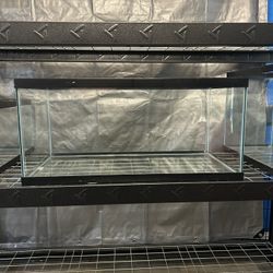 Fish Tank 40 Gallons