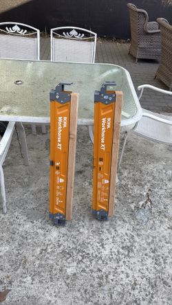 Pair of bora work horses