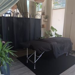 Gently Used Massage/tattoo Table