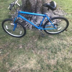26” Diamondback Mountain Bike (xl Frame)