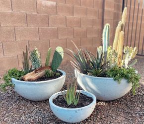 Planters